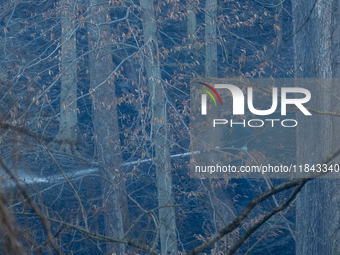 The Washington DC Fire Department battles a brush fire in Rock Creek Park, a National Park in Washington DC, on December 7, 2024. The fire b...