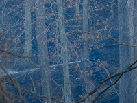 The Washington DC Fire Department battles a brush fire in Rock Creek Park, a National Park in Washington DC, on December 7, 2024. The fire b...