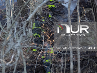 The Washington DC Fire Department battles a brush fire in Rock Creek Park, a National Park in Washington DC, on December 7, 2024. The fire b...