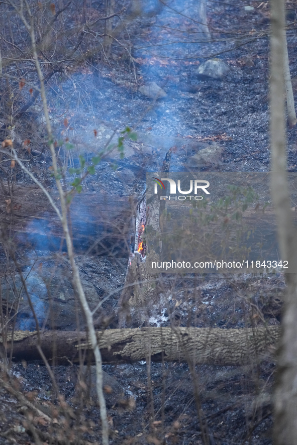 The Washington DC Fire Department battles a brush fire in Rock Creek Park, a National Park in Washington DC, on December 7, 2024. The fire b...