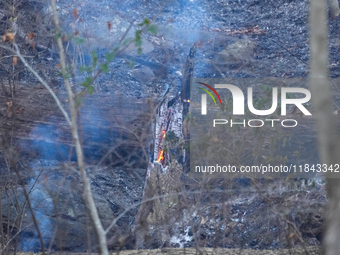 The Washington DC Fire Department battles a brush fire in Rock Creek Park, a National Park in Washington DC, on December 7, 2024. The fire b...