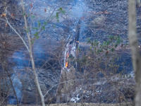 The Washington DC Fire Department battles a brush fire in Rock Creek Park, a National Park in Washington DC, on December 7, 2024. The fire b...