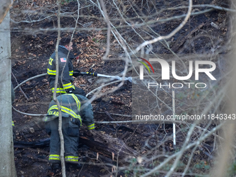 The Washington DC Fire Department battles a brush fire in Rock Creek Park, a National Park in Washington DC, on December 7, 2024. The fire b...