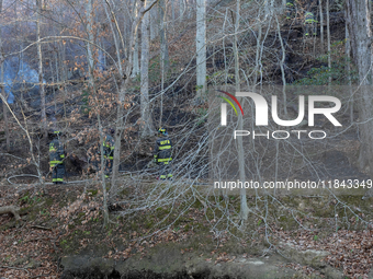 The Washington DC Fire Department battles a brush fire in Rock Creek Park, a National Park in Washington DC, on December 7, 2024. The fire b...