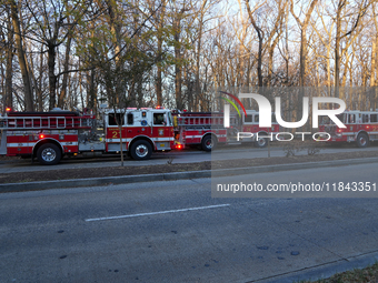 The Washington DC Fire Department battles a brush fire in Rock Creek Park, a National Park in Washington DC, on December 7, 2024. The fire b...