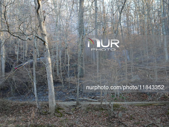 The Washington DC Fire Department battles a brush fire in Rock Creek Park, a National Park in Washington DC, on December 7, 2024. The fire b...