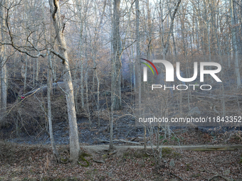 The Washington DC Fire Department battles a brush fire in Rock Creek Park, a National Park in Washington DC, on December 7, 2024. The fire b...