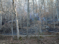 The Washington DC Fire Department battles a brush fire in Rock Creek Park, a National Park in Washington DC, on December 7, 2024. The fire b...