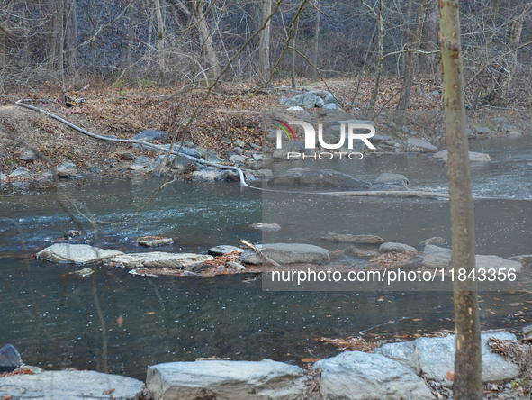 The Washington DC Fire Department battles a brush fire in Rock Creek Park, a National Park in Washington DC, on December 7, 2024. The fire b...