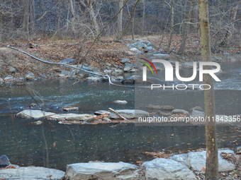 The Washington DC Fire Department battles a brush fire in Rock Creek Park, a National Park in Washington DC, on December 7, 2024. The fire b...