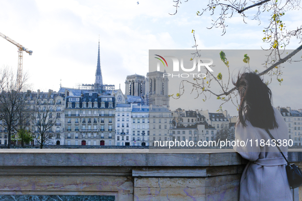 A woman observes Notre Dame Cathedral. 