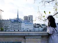 A woman observes Notre Dame Cathedral. (