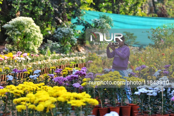 Visitors attend the 38th Chrysanthemum Flower Exhibition at Rajasthan University in Jaipur, Rajasthan, India, on December 7, 2024. 