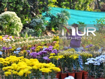 Visitors attend the 38th Chrysanthemum Flower Exhibition at Rajasthan University in Jaipur, Rajasthan, India, on December 7, 2024. (