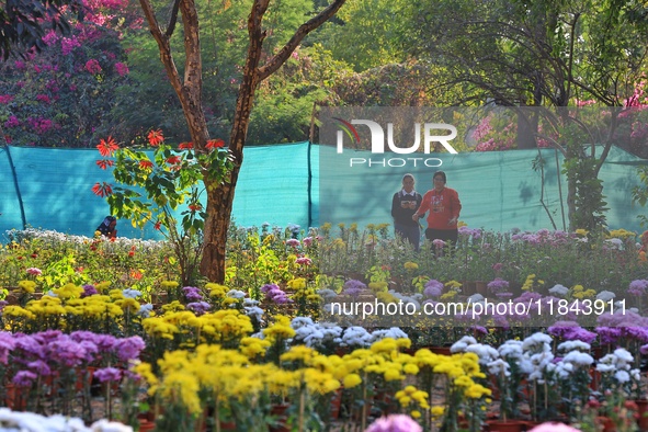 Visitors attend the 38th Chrysanthemum Flower Exhibition at Rajasthan University in Jaipur, Rajasthan, India, on December 7, 2024. 