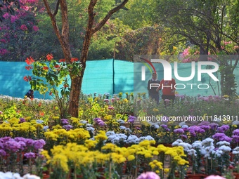 Visitors attend the 38th Chrysanthemum Flower Exhibition at Rajasthan University in Jaipur, Rajasthan, India, on December 7, 2024. (