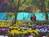 Visitors attend the 38th Chrysanthemum Flower Exhibition at Rajasthan University in Jaipur, Rajasthan, India, on December 7, 2024. (