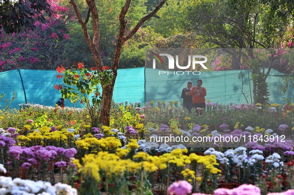 Visitors attend the 38th Chrysanthemum Flower Exhibition at Rajasthan University in Jaipur, Rajasthan, India, on December 7, 2024. 