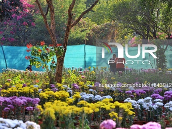 Visitors attend the 38th Chrysanthemum Flower Exhibition at Rajasthan University in Jaipur, Rajasthan, India, on December 7, 2024. (