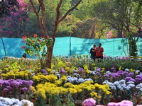 Visitors attend the 38th Chrysanthemum Flower Exhibition at Rajasthan University in Jaipur, Rajasthan, India, on December 7, 2024. (