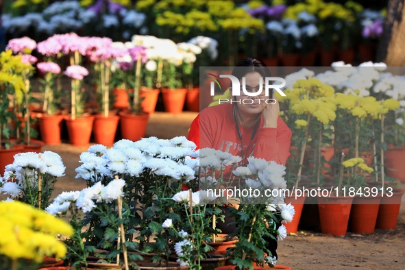 Visitors attend the 38th Chrysanthemum Flower Exhibition at Rajasthan University in Jaipur, Rajasthan, India, on December 7, 2024. 