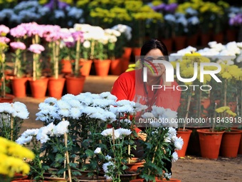 Visitors attend the 38th Chrysanthemum Flower Exhibition at Rajasthan University in Jaipur, Rajasthan, India, on December 7, 2024. (