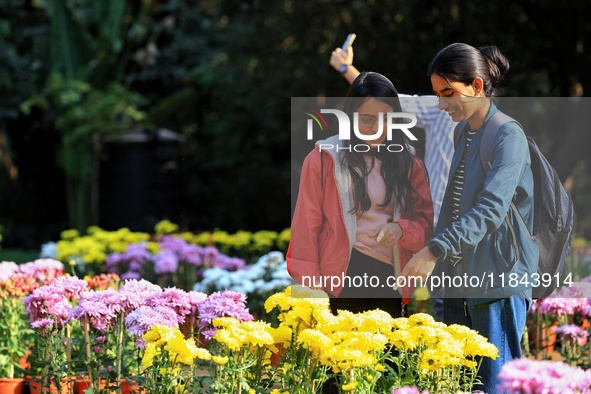 Visitors attend the 38th Chrysanthemum Flower Exhibition at Rajasthan University in Jaipur, Rajasthan, India, on December 7, 2024. 