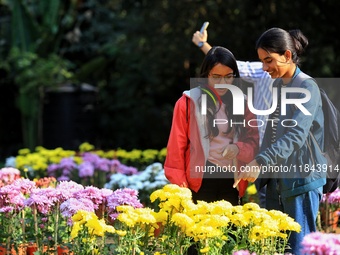 Visitors attend the 38th Chrysanthemum Flower Exhibition at Rajasthan University in Jaipur, Rajasthan, India, on December 7, 2024. (