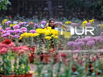 Visitors attend the 38th Chrysanthemum Flower Exhibition at Rajasthan University in Jaipur, Rajasthan, India, on December 7, 2024. (