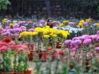 Visitors attend the 38th Chrysanthemum Flower Exhibition at Rajasthan University in Jaipur, Rajasthan, India, on December 7, 2024. (