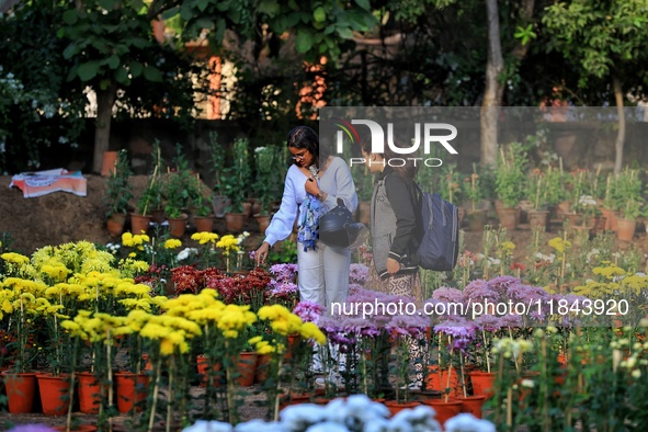 Visitors attend the 38th Chrysanthemum Flower Exhibition at Rajasthan University in Jaipur, Rajasthan, India, on December 7, 2024. 