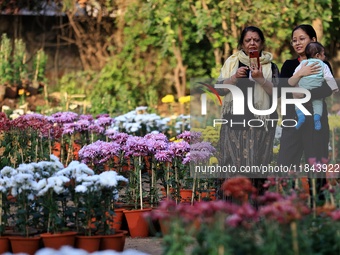 Visitors attend the 38th Chrysanthemum Flower Exhibition at Rajasthan University in Jaipur, Rajasthan, India, on December 7, 2024. (