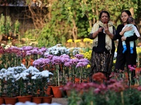 Visitors attend the 38th Chrysanthemum Flower Exhibition at Rajasthan University in Jaipur, Rajasthan, India, on December 7, 2024. (