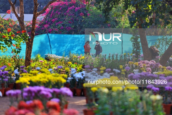 Visitors attend the 38th Chrysanthemum Flower Exhibition at Rajasthan University in Jaipur, Rajasthan, India, on December 7, 2024. 