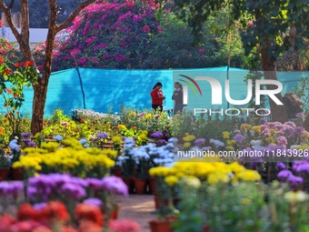 Visitors attend the 38th Chrysanthemum Flower Exhibition at Rajasthan University in Jaipur, Rajasthan, India, on December 7, 2024. (