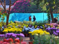 Visitors attend the 38th Chrysanthemum Flower Exhibition at Rajasthan University in Jaipur, Rajasthan, India, on December 7, 2024. (