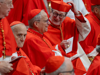 Cardinals attend an Ordinary Public Consistory for the creation of new cardinals at St. Peter's Basilica in the Vatican on December 7, 2024....