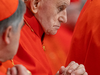 Cardinals attend the Consistory for the creation of new cardinals presided over by Pope Francis at St. Peter's Basilica in Vatican City, Vat...