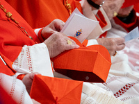 Cardinals attend the Consistory for the creation of new cardinals presided over by Pope Francis at St. Peter's Basilica in Vatican City, Vat...