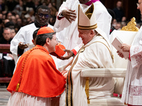 Canadian new Cardinal Frank Leo receives his biretta as he is appointed cardinal by Pope Francis during a consistory ceremony in the Saint P...