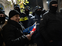 An anti-government protester carries EU and Georgian flags while facing the police during a rally for the tenth consecutive day of mass demo...