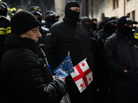 An anti-government protester carries EU and Georgian flags while facing the police during a rally for the tenth consecutive day of mass demo...