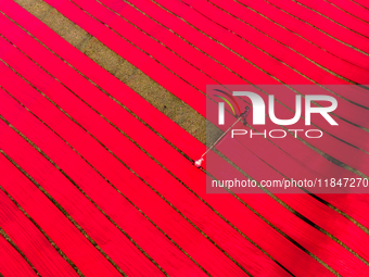 An aerial view shows people working in a field, stretching red cloth in Narsingdi, Dhaka, Bangladesh, on December 8, 2024. This fabric is co...