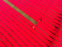 An aerial view shows people working in a field, stretching red cloth in Narsingdi, Dhaka, Bangladesh, on December 8, 2024. This fabric is co...