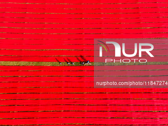 An aerial view shows school children walking along red long textile stripes spread out on a field near Narsingdi, Dhaka, Bangladesh, on Dece...