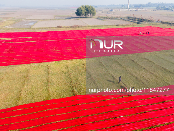 An aerial view shows people working in a field, stretching red cloth in Narsingdi, Dhaka, Bangladesh, on December 8, 2024. This fabric is co...