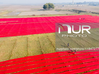 An aerial view shows people working in a field, stretching red cloth in Narsingdi, Dhaka, Bangladesh, on December 8, 2024. This fabric is co...