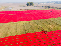 An aerial view shows people working in a field, stretching red cloth in Narsingdi, Dhaka, Bangladesh, on December 8, 2024. This fabric is co...