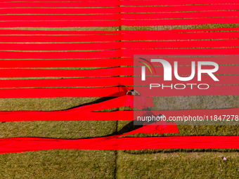 An aerial view shows people working in a field, stretching red cloth in Narsingdi, Dhaka, Bangladesh, on December 8, 2024. This fabric is co...