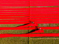 An aerial view shows people working in a field, stretching red cloth in Narsingdi, Dhaka, Bangladesh, on December 8, 2024. This fabric is co...